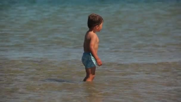 Lttle chłopiec uruchomiona w wodzie na plaży — Wideo stockowe