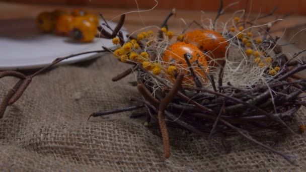 Рука кладет перепелиные яйца в пасхальное гнездо — стоковое видео