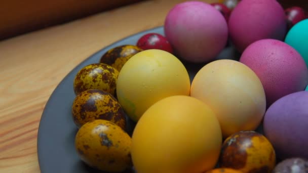 Mão das mulheres coloca ovo de codorna de cor vermelha e verde — Vídeo de Stock