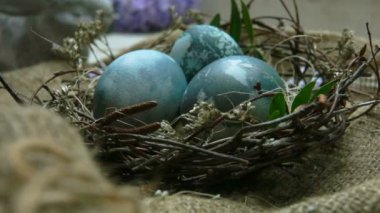 Pan kamera hareketi mavi boyalı yumurta Paskalya yuva üzerinde