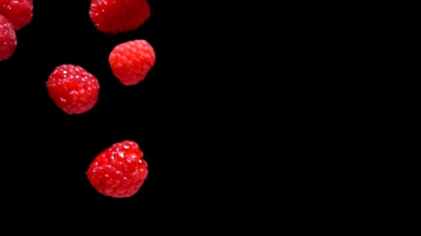 Reife rote Himbeeren fliegen und drehen sich in der Luft — Stockvideo