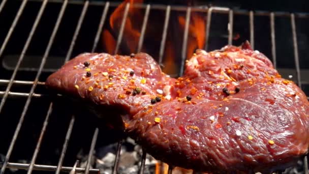 O sal grosso cai em um bife de vitela em uma grelha — Vídeo de Stock