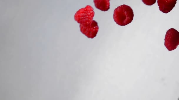 Ripe red raspberries fly and rotates in the air — Stock Video