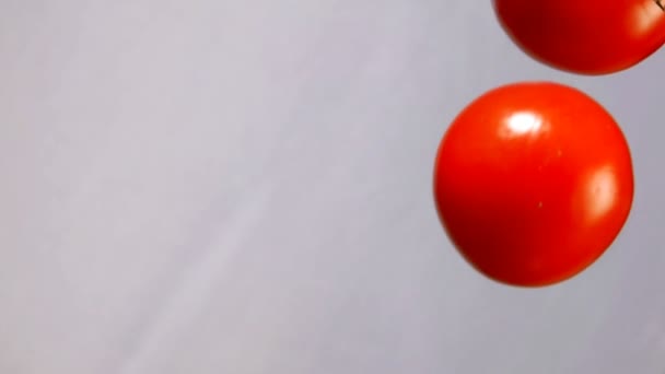 Tomates estão caindo em um fundo branco — Vídeo de Stock