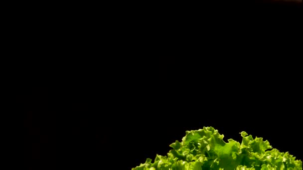 Рука трясе купою вологого зеленого салату — стокове відео