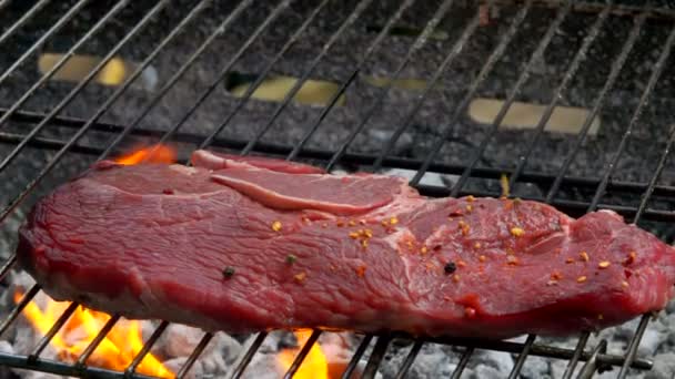 Специи падают на говяжий стейк — стоковое видео