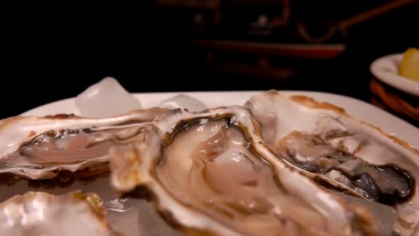 Sur la table est une assiette d'huîtres fraîches sur la glace — Video
