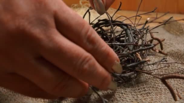 Vrouwelijke handen verzamelen nest van twijgen en sisal. — Stockvideo
