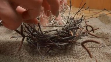 Kadın el toplamak twigs yuvası