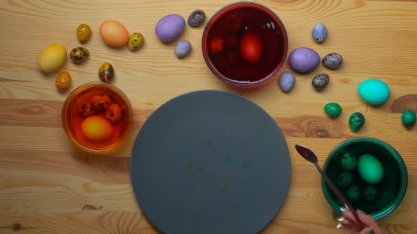 Oeuf de caille sont trempés dans un colorant rouge — Video