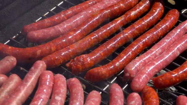 Worsten worden gegrild op de barbecue — Stockvideo