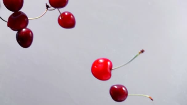 Cerejas rpe voar em um fundo branco — Vídeo de Stock