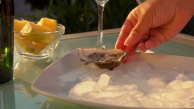 Buz ile bir plaka üzerinde açık istiridye el koyar.