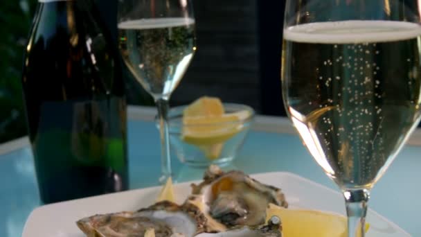 Copas de vino blanco y un plato de ostras — Vídeo de stock