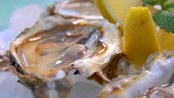 Ouvrir les huîtres sur une assiette blanche avec glace et citron . — Video