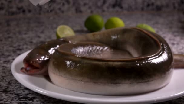Соль падает на сырого угря, лежащего на белой тарелке — стоковое видео