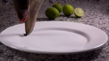 Beyaz bir plaka üzerinde ham yılan balığı yalan.