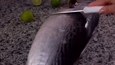 Kesme ham kaba ton balığı aşçı başlar