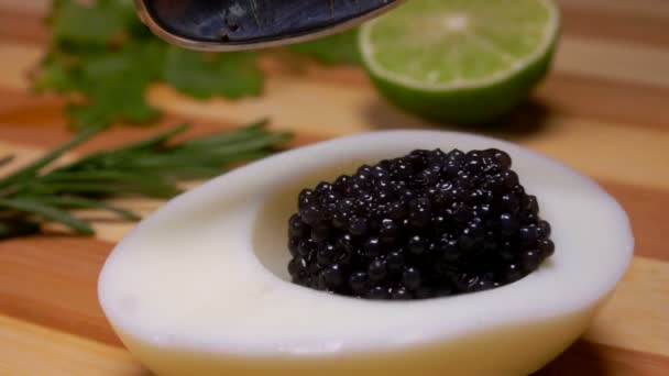 Caviar negro cae en huevo de gallina medio cocido — Vídeos de Stock