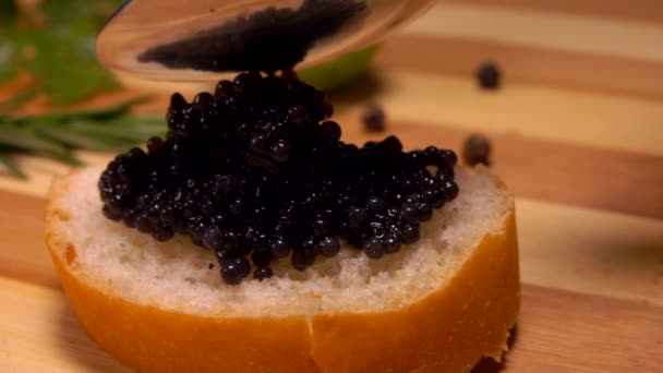 Löffel schmiert schwarzen Kaviar auf Weißbrot — Stockvideo