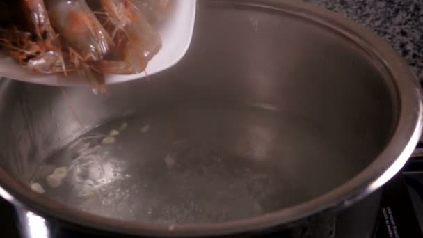 Amante derrama camarão cru na água fervente — Vídeo de Stock