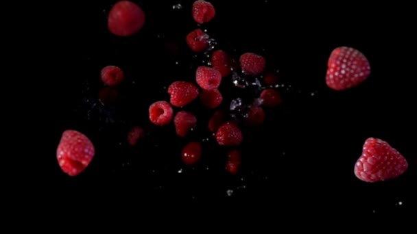 Ripe raspberry with water fly to the camera — Stock Video