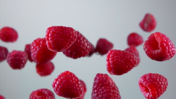 Raspberry vliegen op een witte achtergrond — Stockvideo