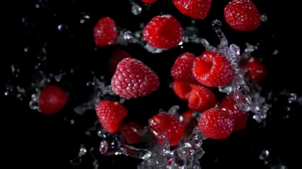 Frambuesa con agua vuela a la cámara — Vídeos de Stock