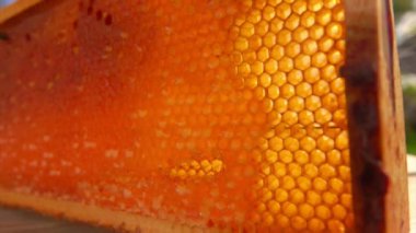 Ahşap bir masada yer alan petek ağaç çerçevesi