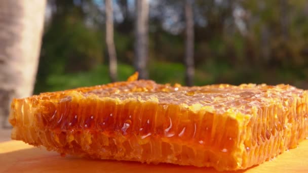 O pente de mel está em uma mesa de madeira — Vídeo de Stock