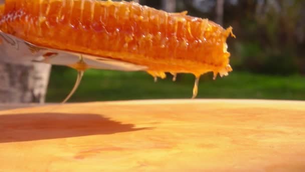 Kök spatel sprider en bit Honeycomb — Stockvideo