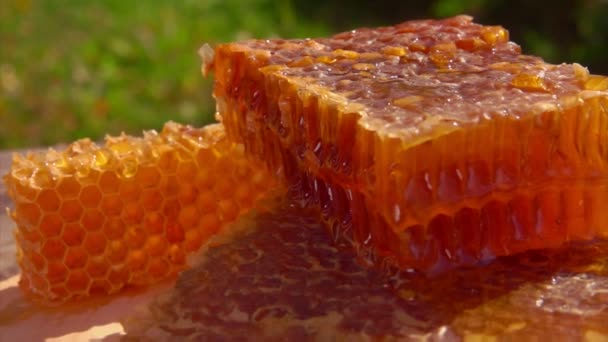 Honeycoms se encuentra en una mesa de madera en un día soleado — Vídeos de Stock