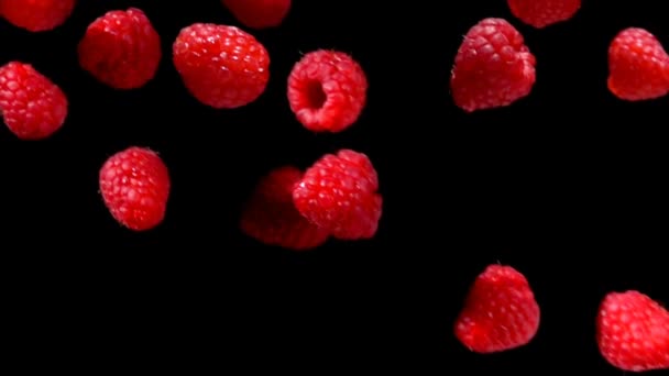 Reife saftige Himbeeren fliegen und drehen sich in der Luft — Stockvideo