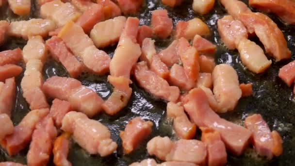 Bacon finement coupé frit sur une surface de gril en pierre — Video