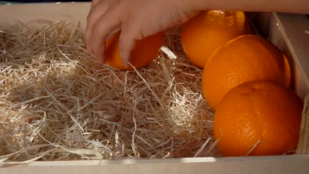 La main met les oranges juteuses mûres dans une boîte en bois — Video