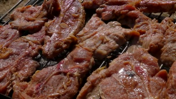 Stuk gemarineerde lamsvlees geroosterd met uien — Stockvideo
