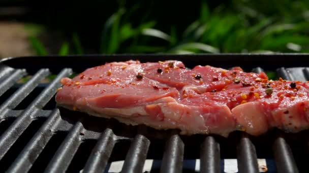 Salz fällt in Zeitlupe in Großaufnahme auf ein Steak — Stockvideo