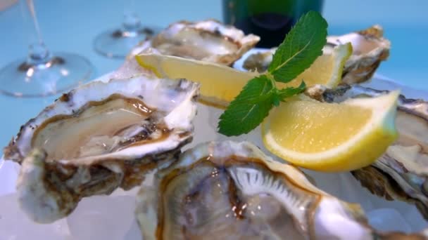 Ostras abiertas en un plato blanco con hielo y limón . — Vídeo de stock