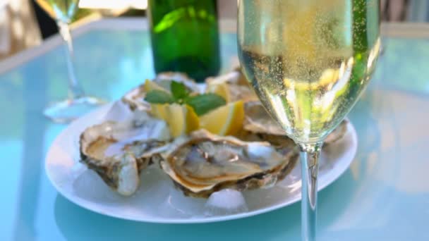 Verse smakelijke oesters liggen in een bord met ijs — Stockvideo