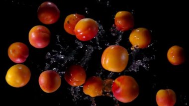 Kameraya karşı sıçrayan su ile Kayısı