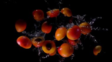 Kameraya doğru sıçrayan yarım ve bütün kayısı