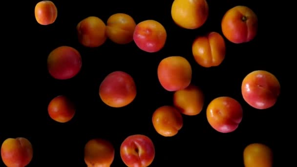 Rijpe abrikozen stuiteren tegen de camera — Stockvideo