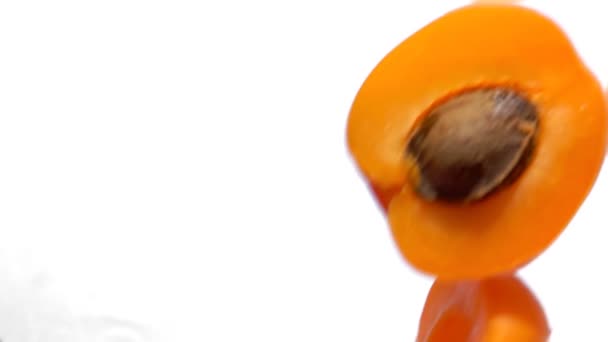 Halves ripe apricots fly on white background i — Stock Video