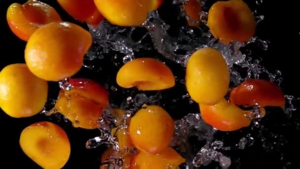 Abricots vole vers la caméra sur un fond noir — Video