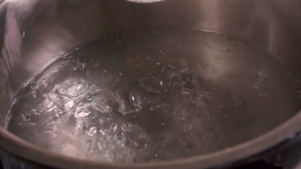 Salt hälls i en kastrull med kokande vatten — Stockvideo