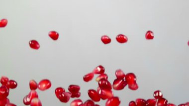Beyaz bir arka plan üzerinde kırmızı olgun garnet tohum sineği