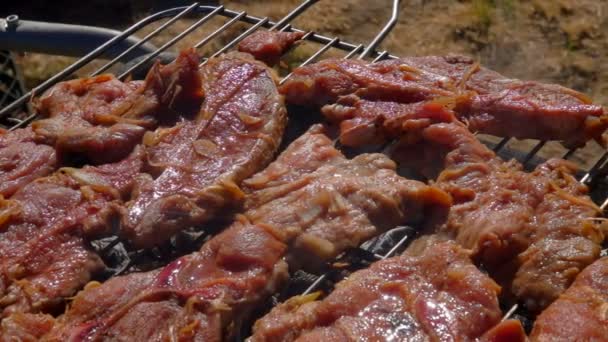 Stuk gemarineerde lamsvlees geroosterd met uien — Stockvideo