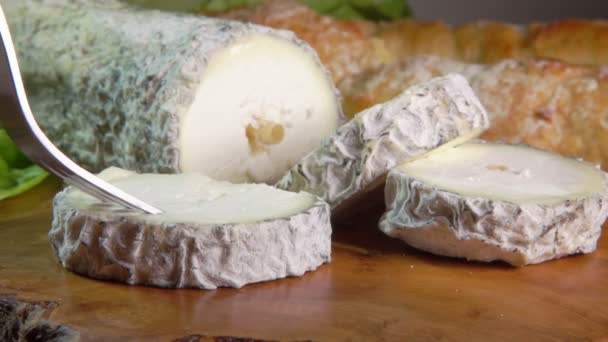 Fromage de chèvre à moule bleu-gris — Video