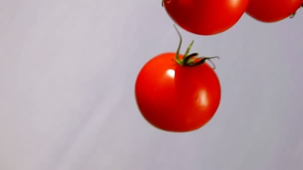 Tomater flyger ner på en vit bakgrund — Stockvideo