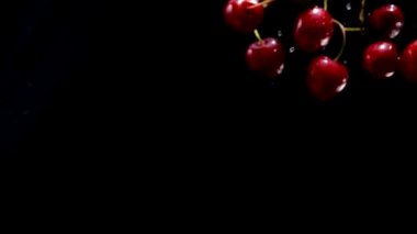 Olgun kiraz siyah bir arka plan üzerinde sinek